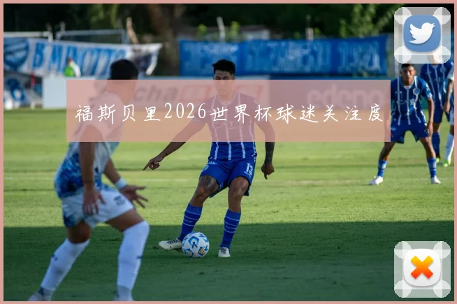 福斯贝里2026世界杯球迷关注度