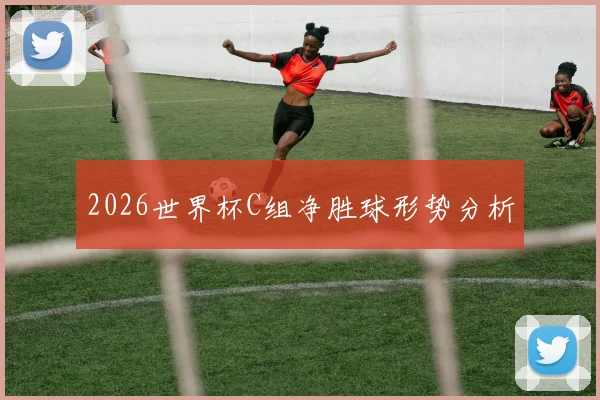 2026世界杯C组净胜球形势分析