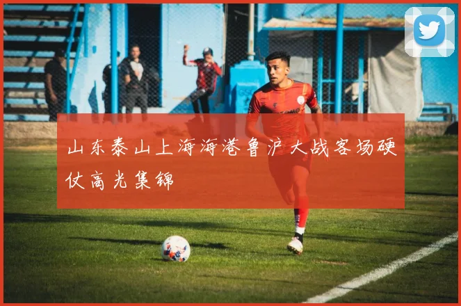 山东泰山上海海港鲁沪大战客场硬仗高光集锦