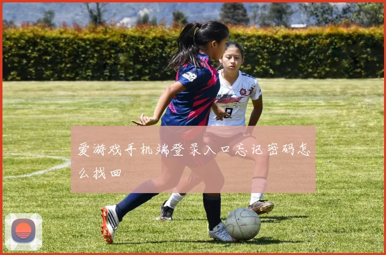 爱游戏手机端登录入口忘记密码怎么找回
