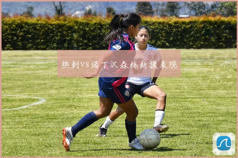 热刺vs诺丁汉森林新援表现