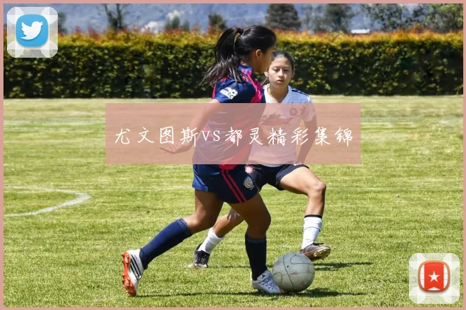 尤文图斯vs都灵精彩集锦
