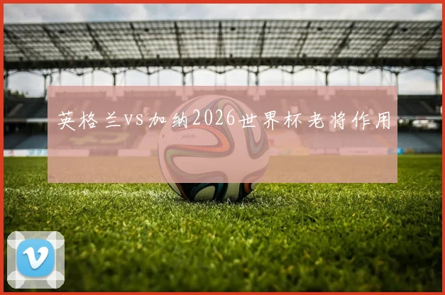 英格兰vs加纳2026世界杯老将作用
