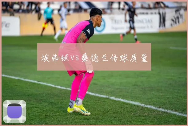 埃弗顿vs桑德兰传球质量