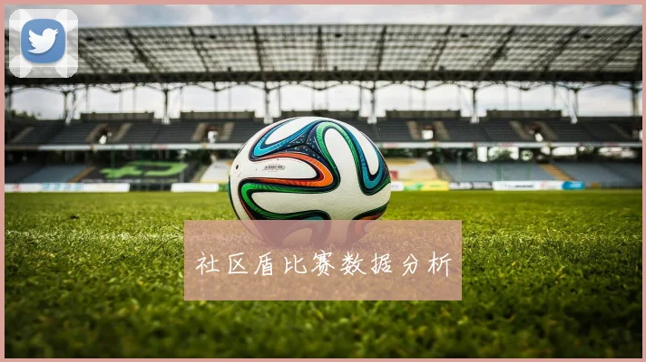 社区盾比赛数据分析