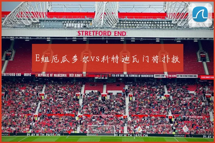 E组厄瓜多尔vs科特迪瓦门将扑救